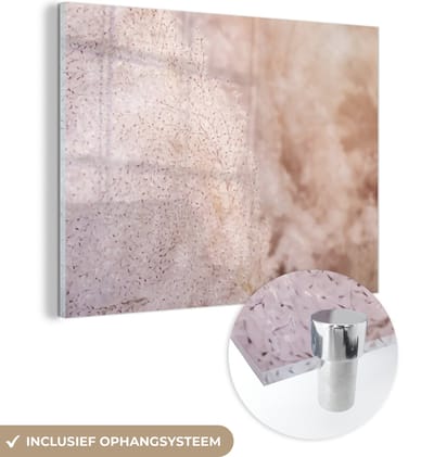 MuchoWow® Glasschilderij 40x30 cm - Schilderij acrylglas - Pampasgras - Structuur - Planten - Natuur - Foto op glas - Schilderijen