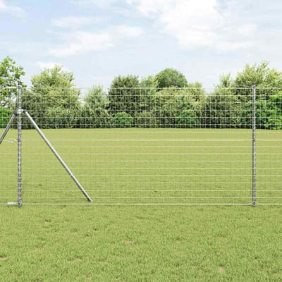 vidaXL - Euro - Hek - 1 - x - 10 - m - PVC-gelaagd - ijzer