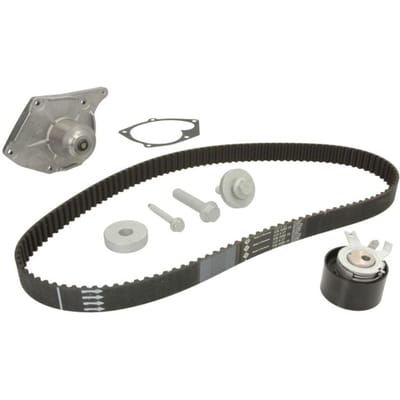 Schaeffler Ina Waterpomp+distributieriem set INA 530 0197 31