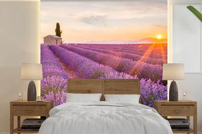 Behang - Fotobehang Lavendel - Zonsondergang - Bloemen - Paars - Breedte 240 cm x hoogte 240 cm