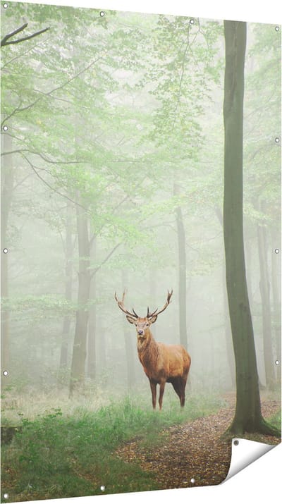 Gards Tuinposter Hert in Bos - 120x180 cm - Tuindoek - Tuindecoratie - Wanddecoratie buiten - Tuinschilderij