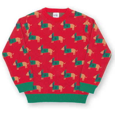Trui voor babyjongens Kite Daxie