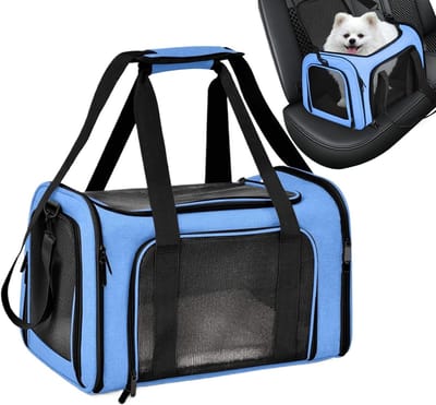 Huisdier Draagtas - Reistas Dieren - Veilig Vervoer - Ademend Mesh Materiaal - 40x25x25 cm - Blauw
