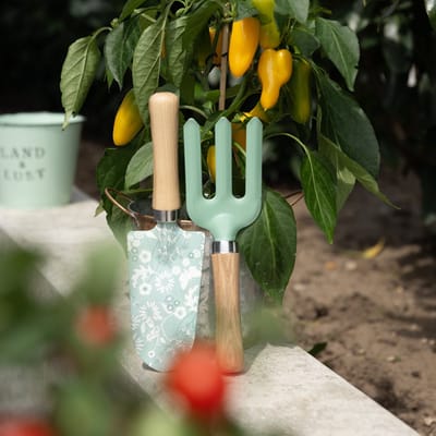 Tuingereedschapset tuinhark tuinschep 25/28cm