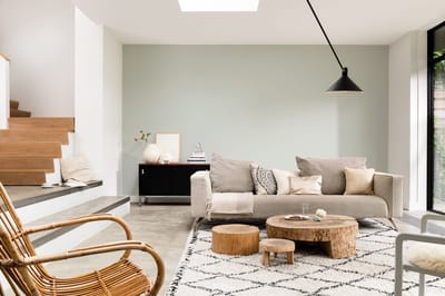 Levis - Expert Muur Binnen Mix - Shady Grey A20 - Mengverf - 10 L