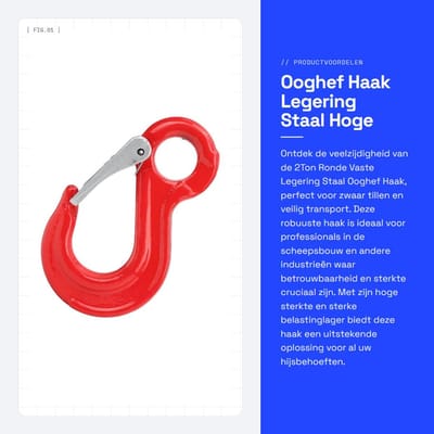 Dailygoods- Ooghefhaak 3200kg - Vaste Haak - Legering Staal - Veiligheid Grendel - Anticorrosie - Hoge Sterkte - Hefhaak