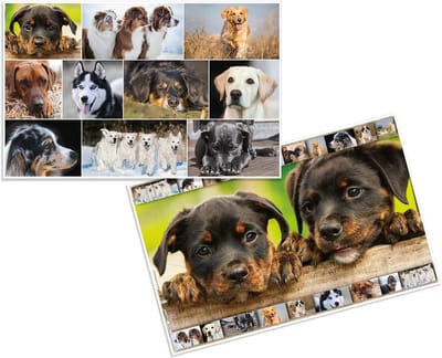 Bureauonderlegger Dieren - Tafelmat Kinderen - Knutselen en Schilderen - Afwasbaar Softtouch Folie - 55 x 35 cm - Hondenmotief