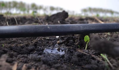 Drip Hose - Irriatie Slang - Planten Water Geven - Turbulente Waterstroom - 400 Meter - Zwart