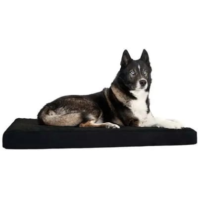 Traagschuim matras Back on Track XS