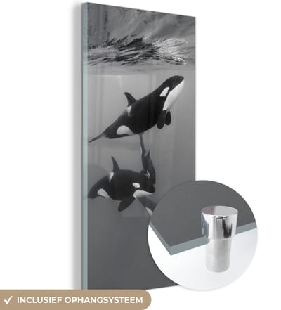MuchoWow® Glasschilderij 20x40 cm - Schilderij acrylglas - Orka - Water - Zwart - Wit - Foto op glas - Schilderijen