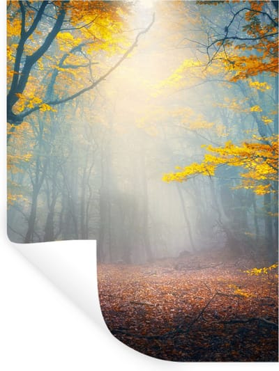 Muurstickers - Sticker Folie - Bos - Mist - Herfst - 30x40 cm - Plakfolie - Muurstickers Kinderkamer - Zelfklevend Behang - Zelfklevend behangpapier - Stickerfolie