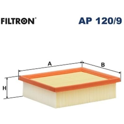 Luchtfilter FILTRON AP 120/9