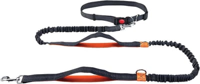 Verstelbare Hondenriem - Handsfree Leash - Hardlopen met Hond - Verstelbare Tailleband - 16 tot 24 Meter - Zwart Oranje