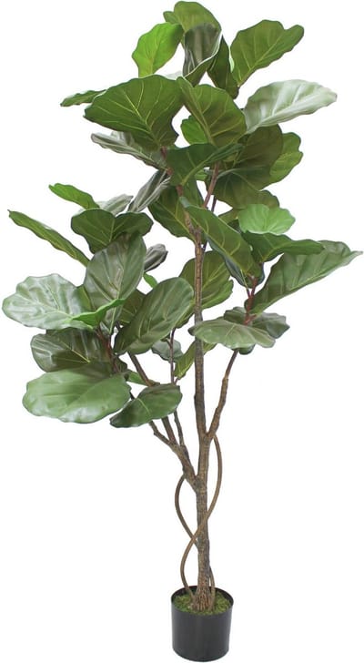 Ficus Lyrata Kunstplant 180cm