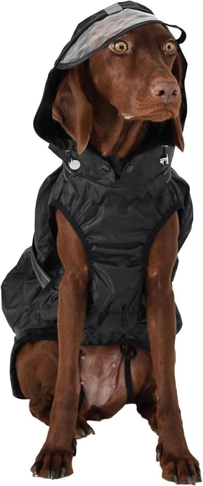 Honden regenjas - Hondenjas waterdicht - Bescherming tegen regen - Met afneembare capuchon - Maat 3XL - Zwart