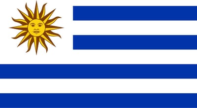 Vlag Uruguay 300x450cm