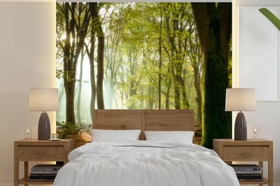 Behang - Fotobehang Bos - Zon - Seizoenen - Landschap - Breedte 350 cm x hoogte 350 cm