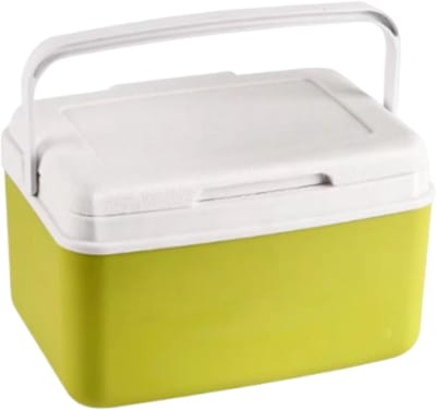 IJsbox koeler - Lekvrije koelbox - Picknick dranken - Grote capaciteit - 6 of 9 liter