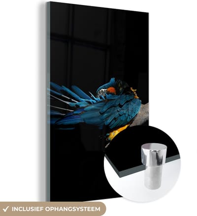 MuchoWow® Glasschilderij 120x180 cm - Schilderij acrylglas - Vogel - Veren - Tak - Zwart - Foto op glas - Schilderijen