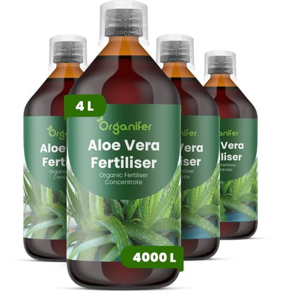Vloeibare Meststof Voor Aloë Vera 4X1 L Voor 4000 L - Npk 2-1-8 - Voor Sterke Bladgroei - Bladstevigheid - Gelrijk Bladweefsel - Hittebestendig -Ddroogtebestendig - Waterregulatie - Wortelontwikkeling - Vetplanten - Organifer