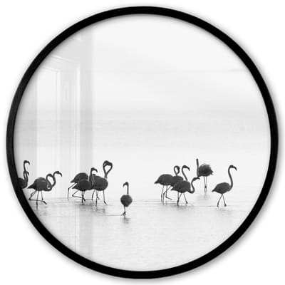 Poster in lijst Rond - Fotolijst 40x40 cm - Posters - Flamingo's - Water - Natuur - Zwart wit - Ronde posterlijst zwart - Decoratie - Wanddecoratie woonkamer - Muurdecoratie slaapkamer