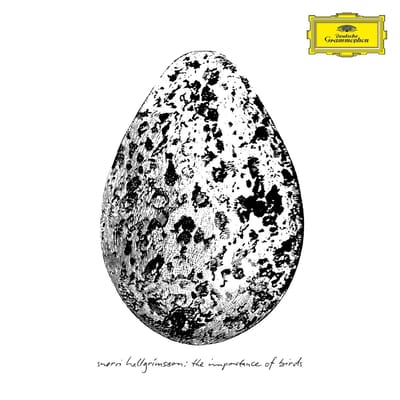 Snorri Hallgrímsson - The Importance Of Birds (LP)