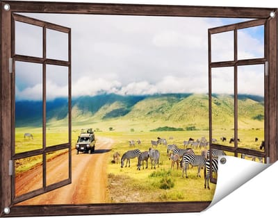 Gards Tuinposter Doorkijk Safari Auto tussen de Zebra's - 90x60 cm - Tuindoek - Tuindecoratie - Wanddecoratie buiten - Tuinschilderij