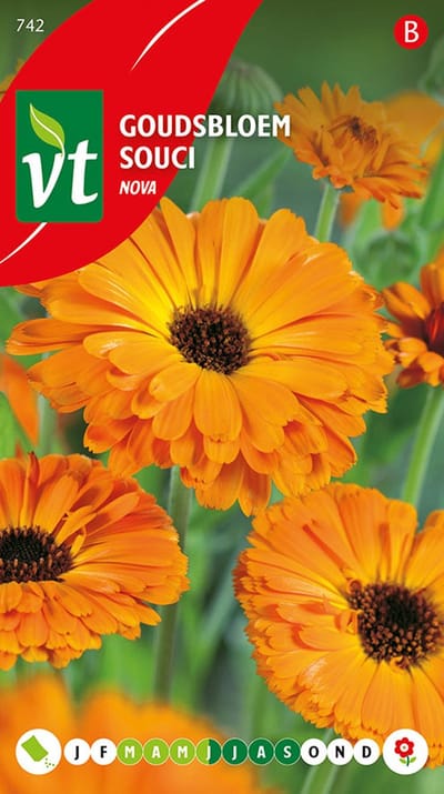 Goudsbloemen - calendula Bloemenzaden - zeer geschikt voor een natuur‑ of cottagetuin