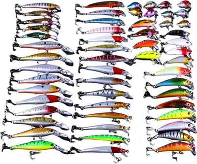 Livano Visspullen - Viskoffer - Tacklebox - Kunstaas - Vis Accessoires - Hengelsport - Spullen - Roofvis - Karper - Snoek - 56 stuks