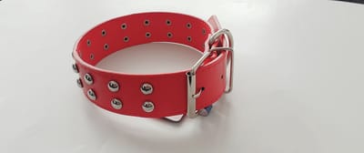 Honden Halsband - Verstelbaar van 39-50 cm