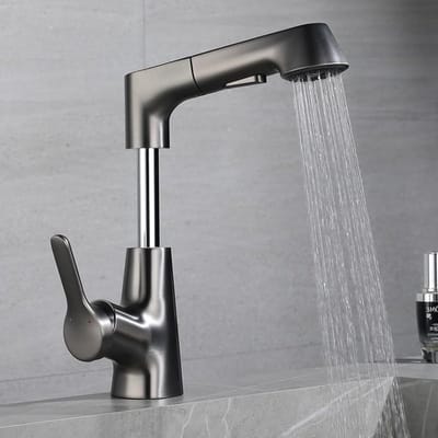 Zwarte Keukenkraan met Uittrekbare Sprayer, Enkele Handgreep, Hoge Arc en Twee Waterstanden met 60cm Uittrekbare Slang