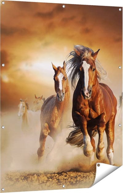 Gards Tuinposter Wilde Paarden in het Zand - 90x120 cm - Tuindoek - Tuindecoratie - Wanddecoratie buiten - Tuinschilderij