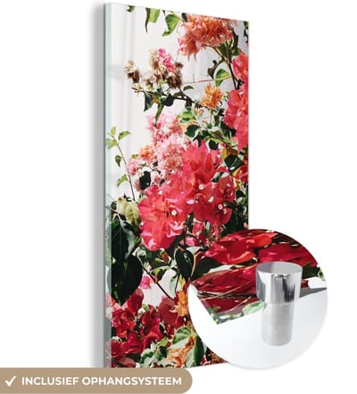 MuchoWow® Glasschilderij 60x120 cm - Schilderij acrylglas - Bloemen - Struik - Zomer - Roze - Foto op glas - Schilderijen