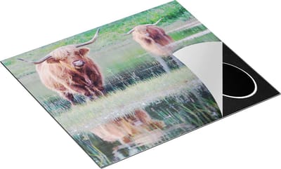 Chefcare Inductie Beschermer Twee Schotse Hooglanders in het Moeras - 60x50 cm - Afdekplaat Inductie - Kookplaat Beschermer - Inductie Mat