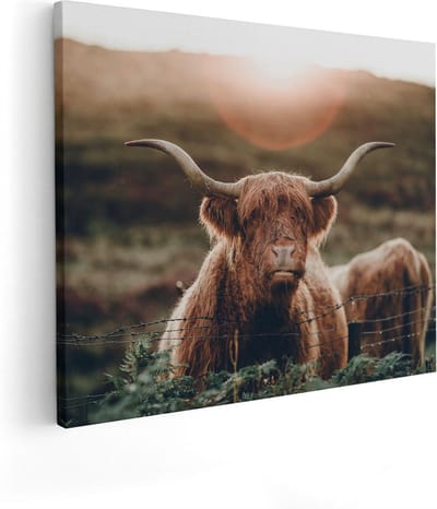Artaza Canvas Schilderij Schotse Hooglander - 100x80 cm - Groot - Wanddecoratie Woonkamer - Muurdecoratie Dieren - Canvas Schilderij Natuur
