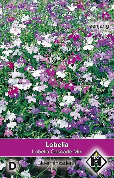 2 stuks Van Hemert & Co Lobelia pendula Cascade Mix