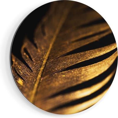 Artaza Dibond Muurcirkel Gouden Veer  - Ø 90 cm - Groot - Wandcirkel - Rond Schilderij - Voor Binnen en Buiten