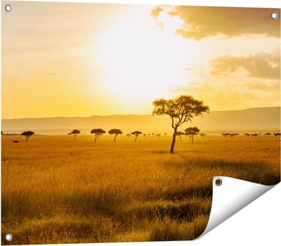 Gards Tuinposter Zonsondergang in de Savanne - 80x60 cm - Tuindoek - Tuindecoratie - Wanddecoratie buiten - Tuinschilderij