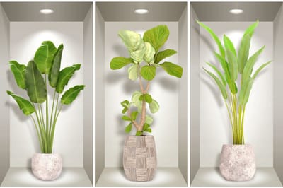 3D-effect bananenboomstickers 80 x 120 cm