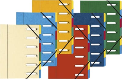 Exacompta 8x Sorteermap HARMONIKA® met elastieken en uitgesneden vensters- in glanskarton - 6 indelingen - Geassorteerd - 5306E