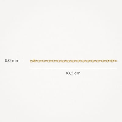 Blush Armband 14kt Goud 2255YGO