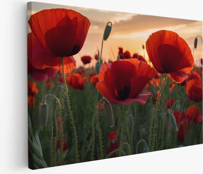 Saammp Muurcirkel Hout - Minimalistisch - Bloemen - Natuur - Stijlvol - Ø 90 - Wandcirkel - Interieur Decoratie - Woonkamer Decoratie
