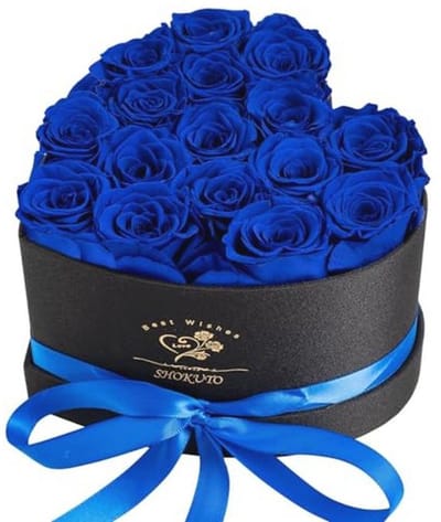 Hartvormige doos met 16 geconserveerde rozen - Perfect cadeau voor Valentijnsdag en Moederdag