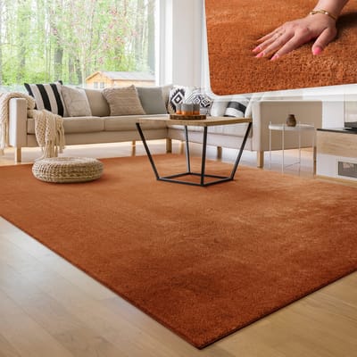 Paco Home Moderne woonkamer tapijt kortpolig wasbaar zacht uni effect bont antislip 80x150 cm