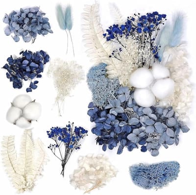 Natuurlijke Gedroogde Bloemen Set van Echte Geperste Bloemen voor Hars Sieraden, Ambachten en Scrapbooking