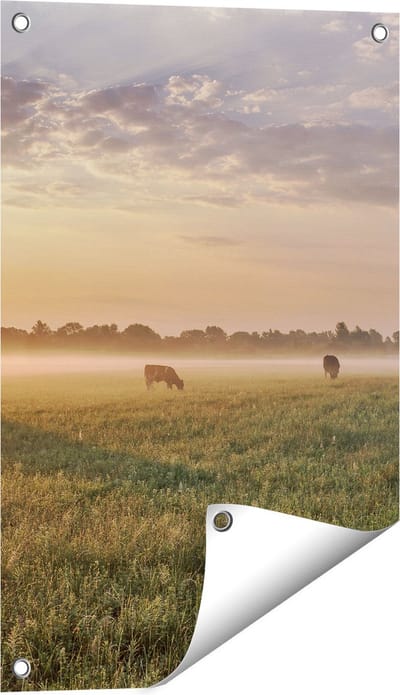 Gards Tuinposter Koeien in de Wei tijdens Zonsopkomst - 40x60 cm - Tuindoek - Tuindecoratie - Wanddecoratie buiten - Tuinschilderij