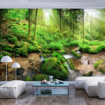 98cm X 70cm - Zelfklevend fotobehang -  Vochtig bos in de ochtend  , Premium Print