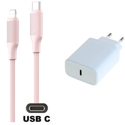 20W snellader + 1,0m USB C naar Lightning kabel. Universele PD lader. Oplader adapter past op Apple iPhone SE 2, iPhone 8, 8 Plus, iPhone 10, iPhone X, iPhone XR, iPhone XS, iPhone XS Max
