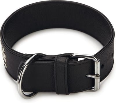 Beeztees Vintage - Hondenhalsband - Zwart - 43,5-49,5 cm x 50 mm