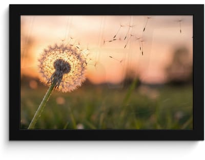 Poster in lijst - Fotolijst 30x20 cm - Posters - Paardenbloem - Zonsondergang - Veld - Posterlijst zwart - Decoratie - Wanddecoratie woonkamer - Muurdecoratie slaapkamer